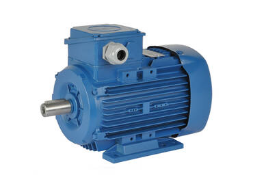 Electric motor 55 kW 3000 rpm